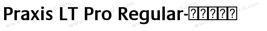 Praxis LT Pro Regular字体转换